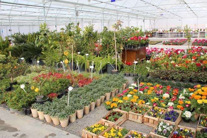 بهترین مراکز پرورش گل و گیاه (۱)